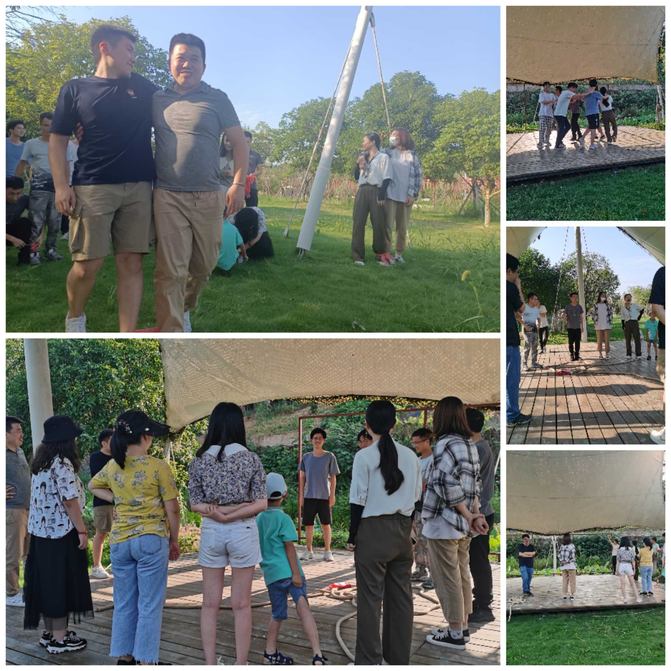 Collage_20210921_160137(1).jpg Collage_20210921_160137(1).jpg